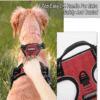 Dog Collars Harness Big Vests