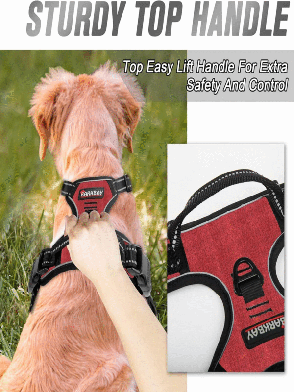 Dog Collars Harness Big Vests