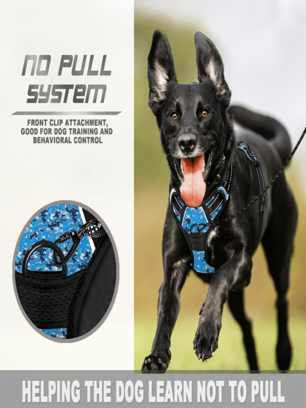 Dog Collars Harness Big Vests