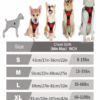 Dog Collars Harness Big Vests