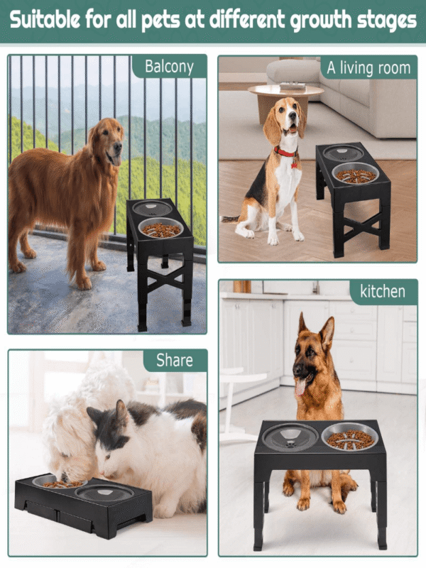 Adjustable Raised Pet Bowls with 2 Stainless Steel Food Bowls