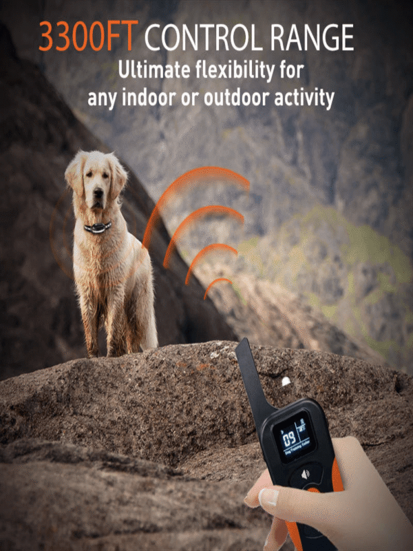 Rechargeable Vibration Pet Training Anti Bark Electric Collar With Remote