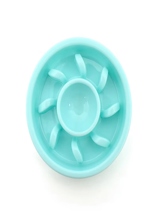 Slow Feeder Pet Bowl