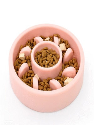 Slow Feeder Pet Bowl
