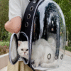 Transparent Ventilate Bubble Outdoor Backpack