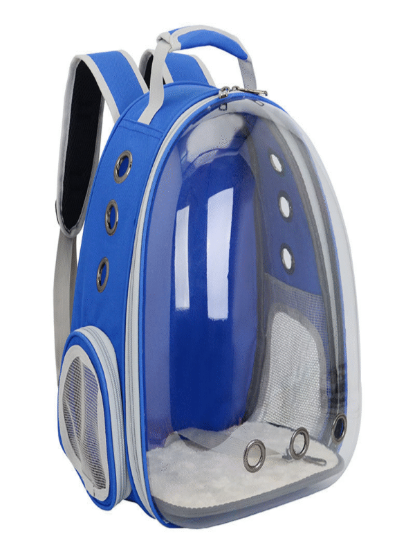 Transparent Ventilate Bubble Outdoor Backpack