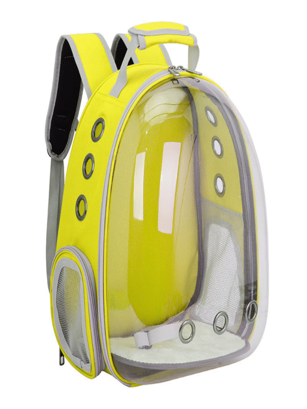 Transparent Ventilate Bubble Outdoor Backpack
